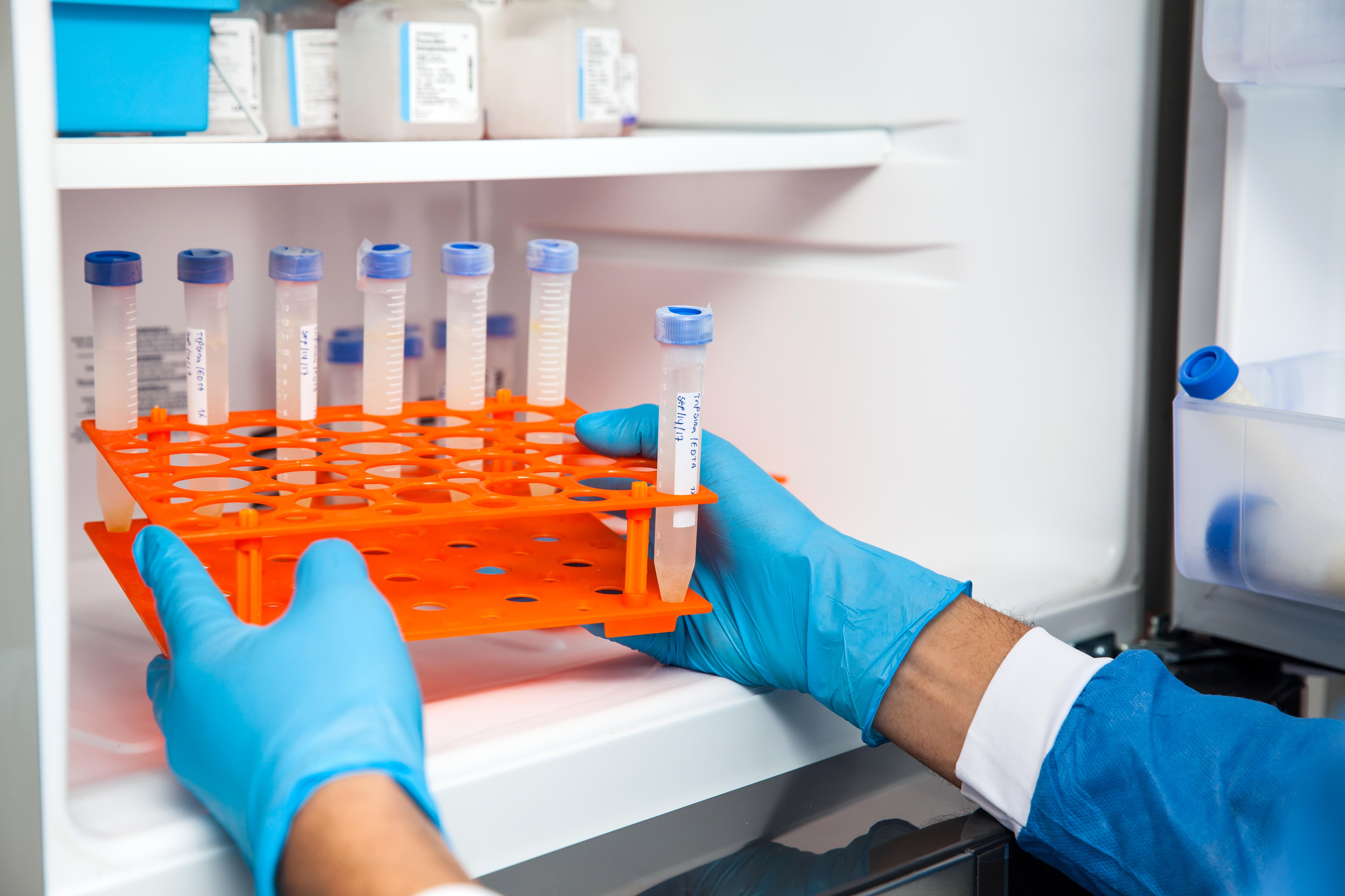 Soluciona LAB